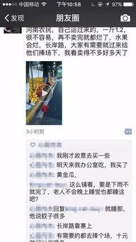 圈内爆料瓜农,瓜农背后的惊人真相大揭秘 第2张 圈内爆料瓜农,瓜农背后的惊人真相大揭秘 第2张